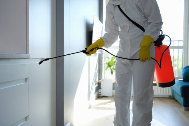 Best Mold Testing  in Birch Run, MI
